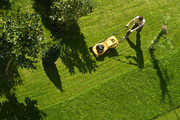 LawnLux Landscaping 
