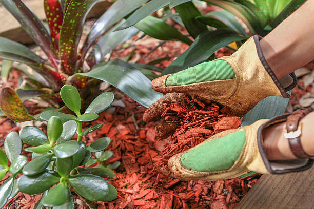 LawnLux Landscaping 